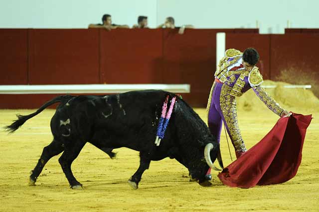 Luis Vilches. (FOTO: Matito)