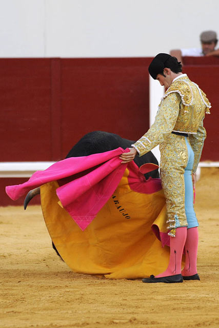 Daniel Araujo. (FOTO: Matito)