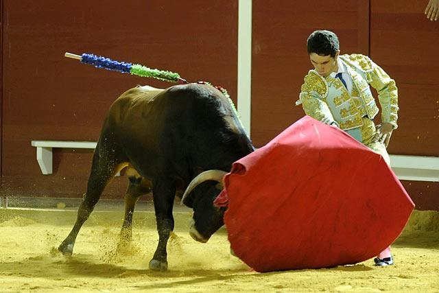 Daniel Araujo. (FOTO: Matito)