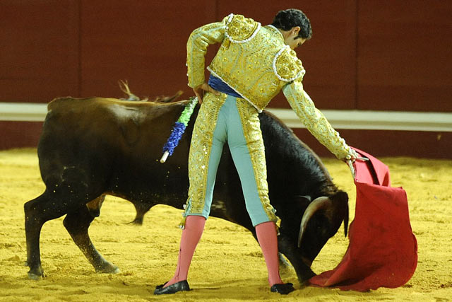 Daniel Araujo. (FOTO: Matito)