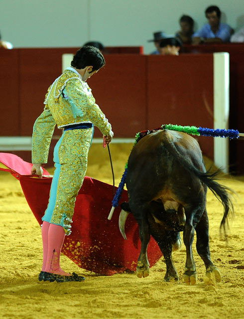 Daniel Araujo. (FOTO: Matito)