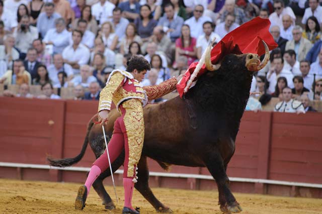 Daniel Luque. (FOTO: Sevilla Taurina)