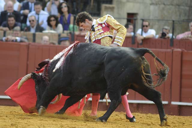 Daniel Luque. (FOTO: Sevilla Taurina)