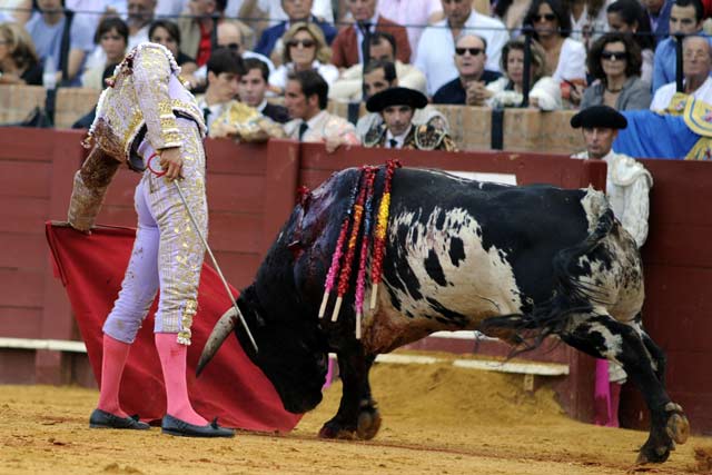 Martín Núñez. (FOTO:Sevilla Taurina)