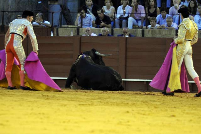 Los novillos de 'Toros de La Plata'. (FOTO: Sevilla Taurina)