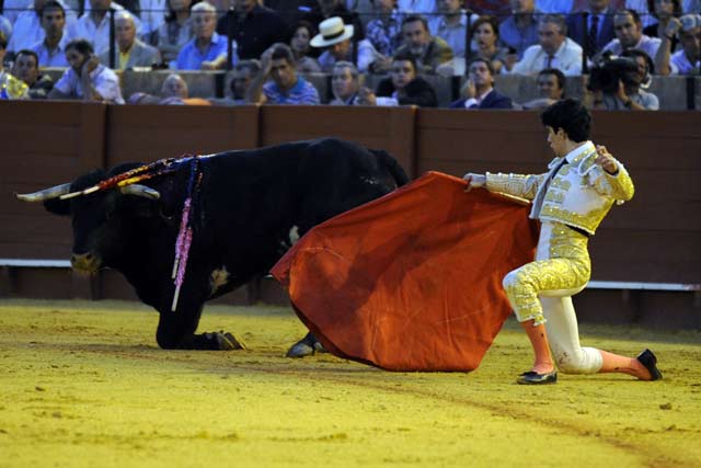 La imagen los resume todo: novillo y novilleros de rodillas, por los suelos. (FOTO: Sevilla Taurina)