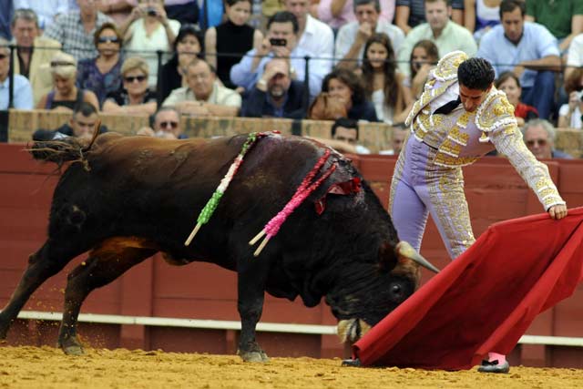 Martín Núñez. (FOTO:Sevilla Taurina)