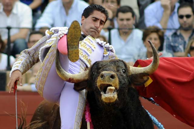 Martín Núñez. (FOTO:Sevilla Taurina)