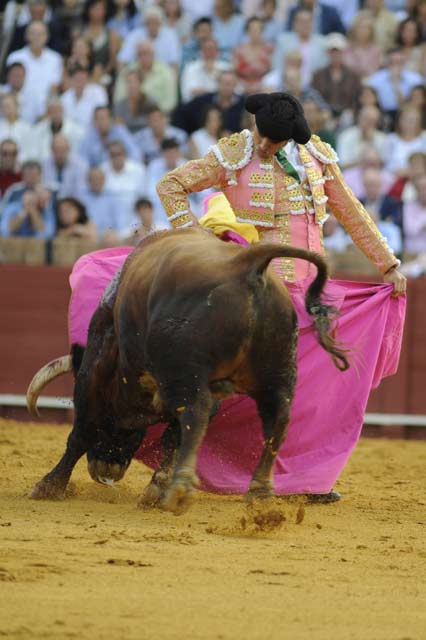 Antonio Fernández Pineda. (FOTO: Sevilla Taurina)