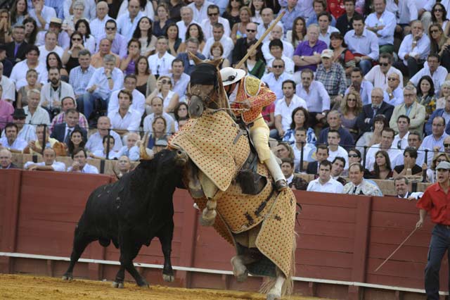 Toro de Alcurrucén. (FOTO: Sevilla Taurina)