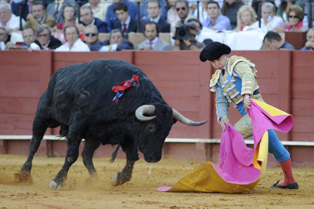 El quinto de la tarde. (FOTO: Sevilla Taurina)