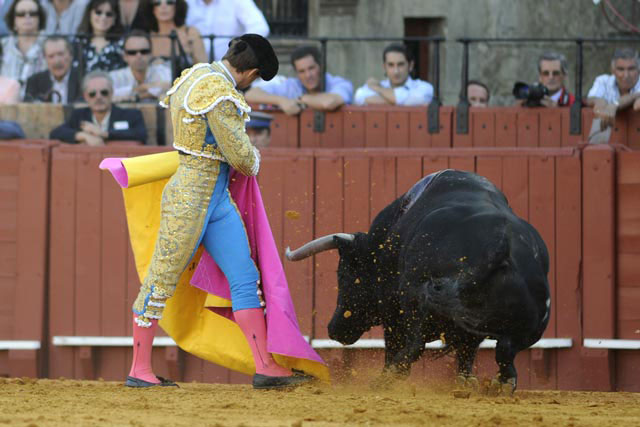 El segundo (1º sobrero). (FOTO: Sevilla Taurina)