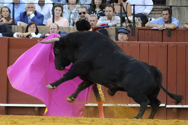 El sexto de la tarde. (FOTO: Sevilla Taurina)