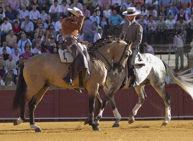 Carrusel del paseíllo. (FOTO: Paco Díaz / toroimagen.com)