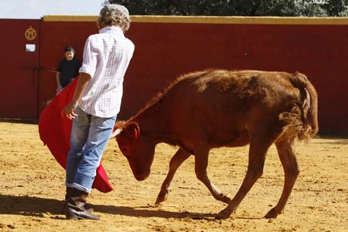 El nuevo Manolo Vázquez. (FOTOS: Pepe Sánchez / 'Toros para todos')