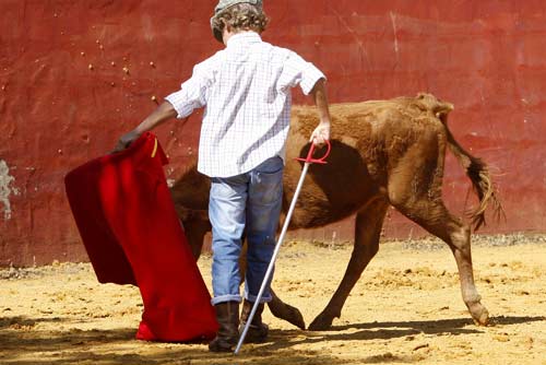 El nuevo Manolo Vázquez. (FOTOS: Pepe Sánchez / 'Toros para todos')