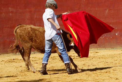 El nuevo Manolo Vázquez. (FOTOS: Pepe Sánchez / 'Toros para todos')