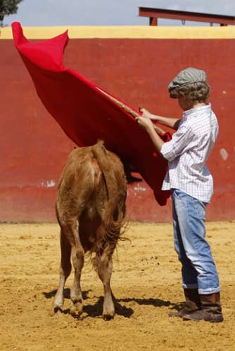 El nuevo Manolo Vázquez. (FOTOS: Pepe Sánchez / 'Toros para todos')