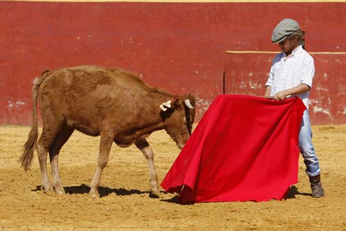 El nuevo Manolo Vázquez. (FOTOS: Pepe Sánchez / 'Toros para todos')