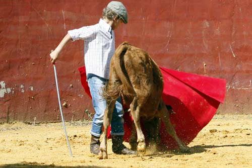 El nuevo Manolo Vázquez. (FOTOS: Pepe Sánchez / 'Toros para todos')