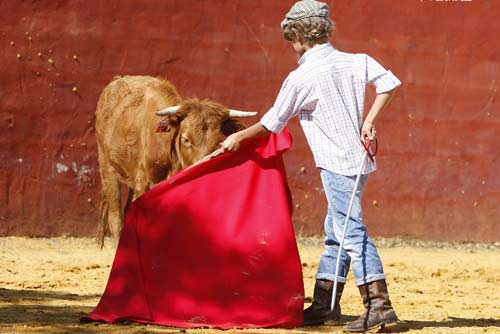 El nuevo Manolo Vázquez. (FOTOS: Pepe Sánchez / 'Toros para todos')