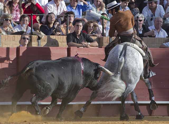 Diego Ventura. (FOTO: Paco Díaz / toroimagen.com)