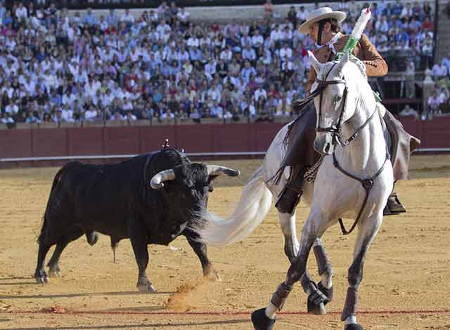 Diego Ventura. (FOTO: Paco Díaz / toroimagen.com)