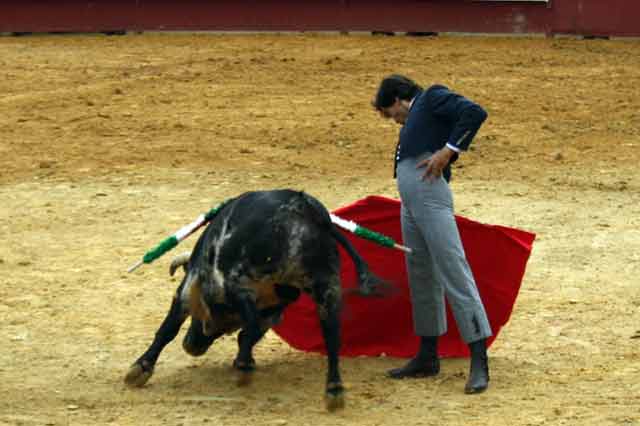 El torero linarense Curro Díaz con la derecha.