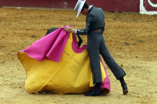 Daniel Luque meciendo el capote a la verónica.