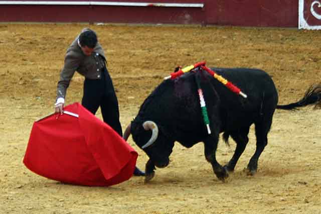 El torero local Pepe Moral triunfó en su pueblo.