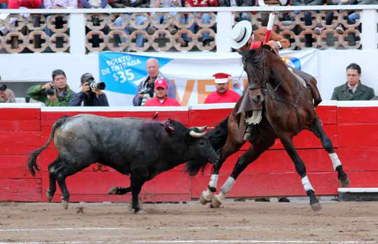 Ventura encela al toro en Querétaro.