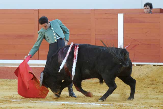 Ponce, instrumentando un muletazo con personalidad propia. (FOTO: Matito)