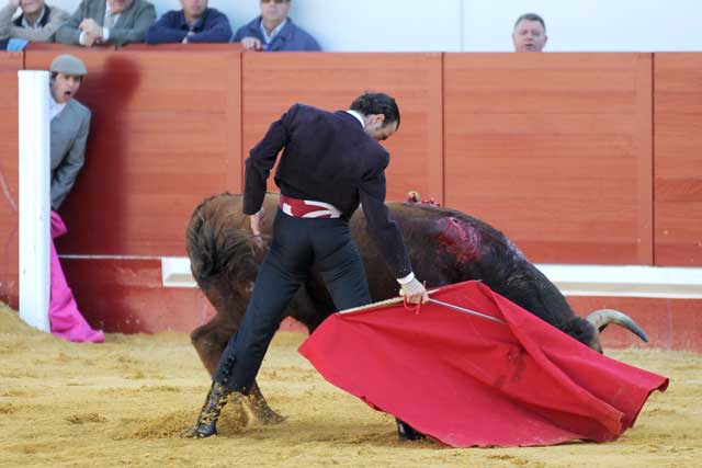 Finito de Córdoba, en artista. Siempre diferente al resto. (FOTO: Matito)