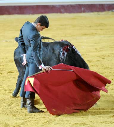 El novillero David Galván no desentonó ante tanta figura. (FOTO: Matito)