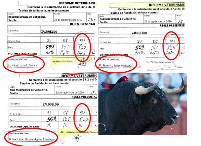Los tres veterinarios aprobaron al toro de Zalduendo que el Gobierno vasco rechazó un mes antes por 'despitorrado' del cuerno derecho.