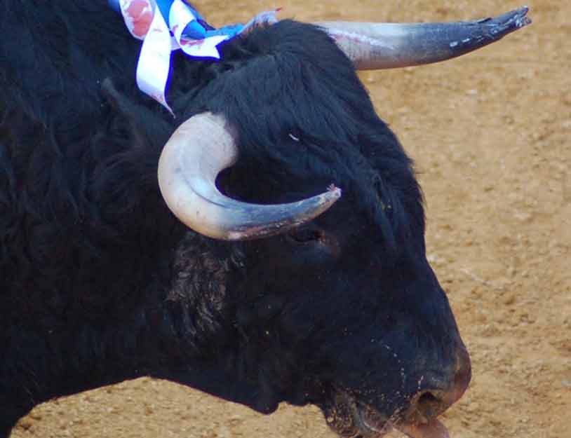 FOTO: Salvador Giménez.