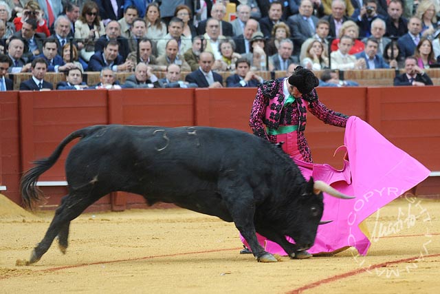 Morante de la Puebla. (FOTO: Matito)