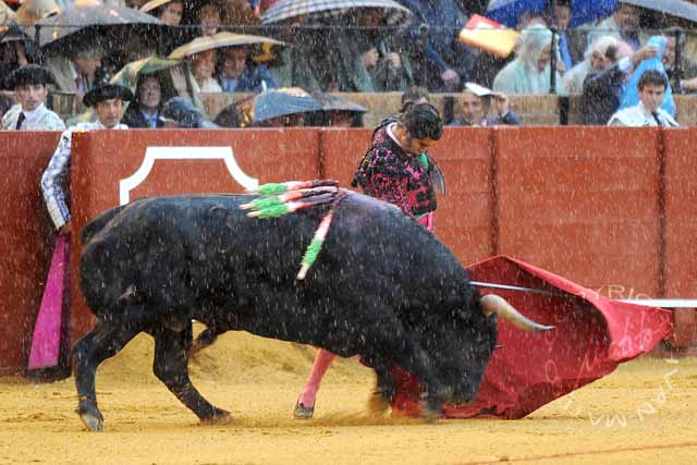 Morante de la Puebla. (FOTO: Matito)