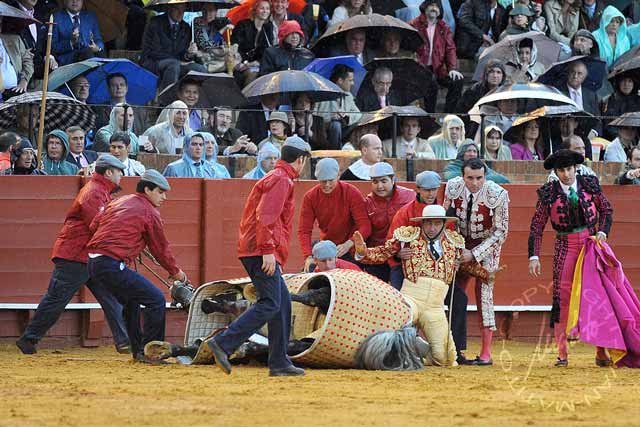 Varios derribos en la tarde de hoy; un equino resultó corneado. (FOTO: Matito)