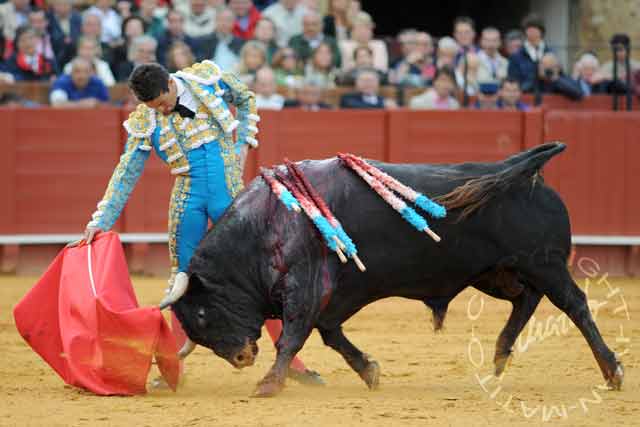 Manzanares y 'Arrojado'.