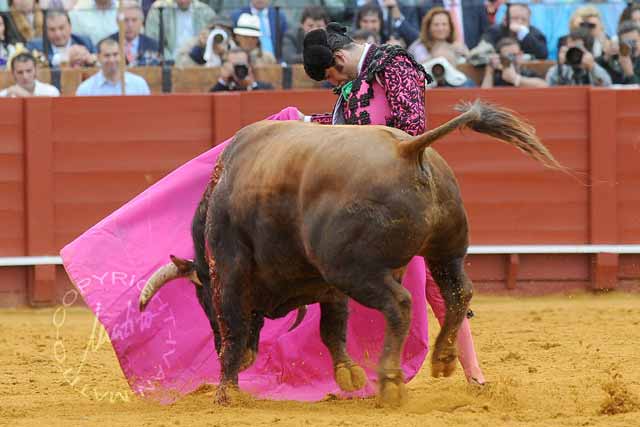 Morante de la Puebla. (FOTO: Matito)