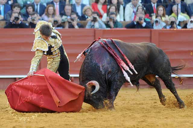 Julián López 'El Juli'. (FOTO: Matito)