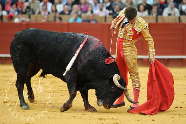 Julián López 'El Juli'. (FOTO: Matito)