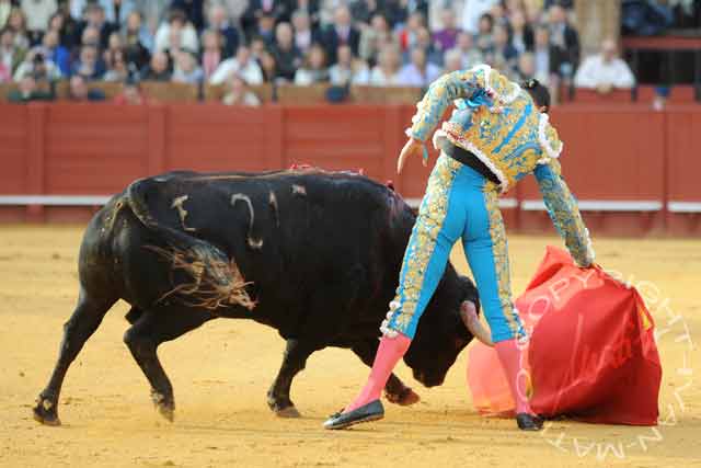 Manzanares y 'Arrojado'.