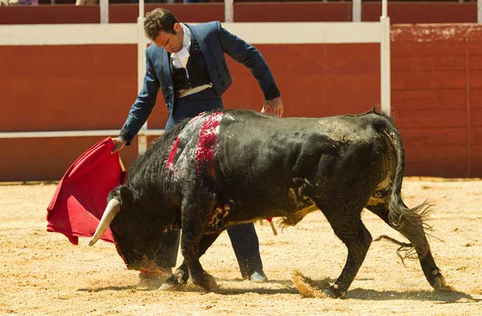 FOTO: Paco Díaz / toroimagen.com