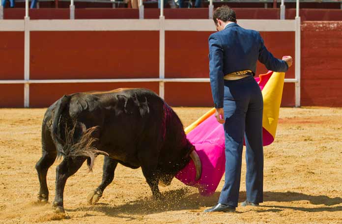 FOTO: Paco Díaz / toroimagen.com