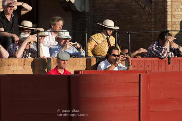 Los toros, desde la lejanía y molestado por el sol. (FOTO: Paco Díaz/toroimagen.com)