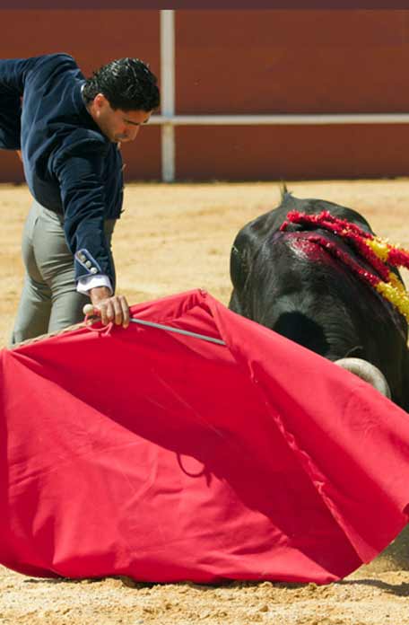 FOTO: Paco Díaz / toroimagen.com