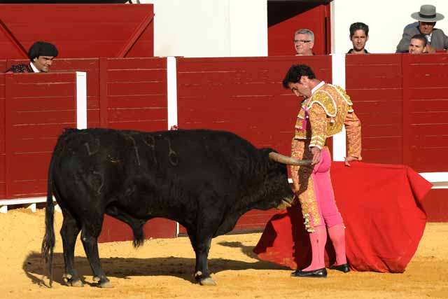 Luis Vilches. (FOTO: Matito)