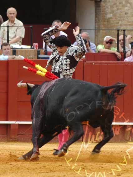 José Casanovas. (FOTO: Matito)